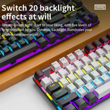 Load image into Gallery viewer, Dragon ChromaGlow USB Wired Gaming Keyboard